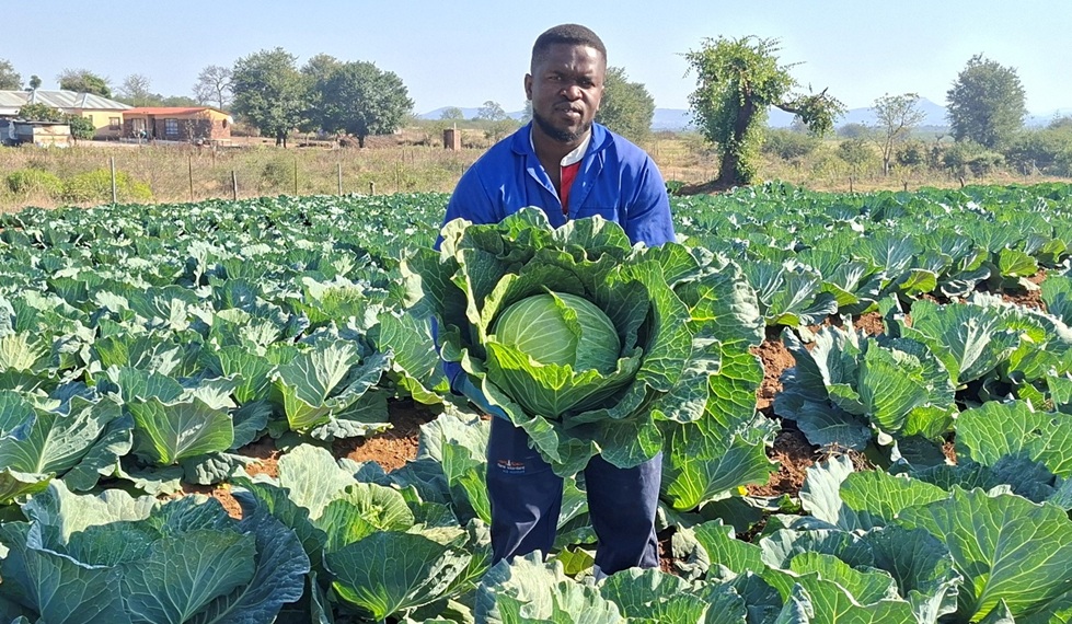 Hlahla Manganyi, a young farmers, who defied all odds by creating employment to self and others.